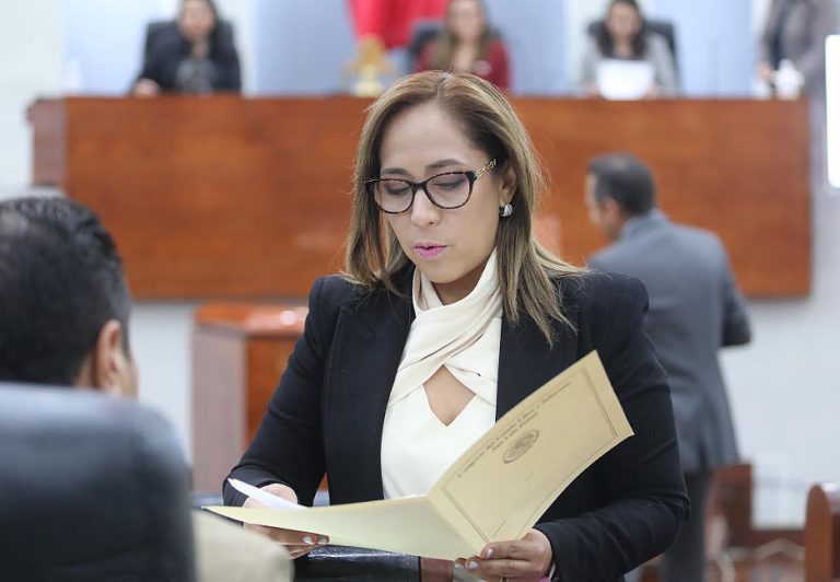 NECESARIO AVANZAR EN EL TEMA DE MOVILIDAD, Y TRANSPORTE SEGURO Y DE CALIDAD EN SAN LUIS POTOSÍ: DIP. LILIANA FLORES ALMAZÁN.