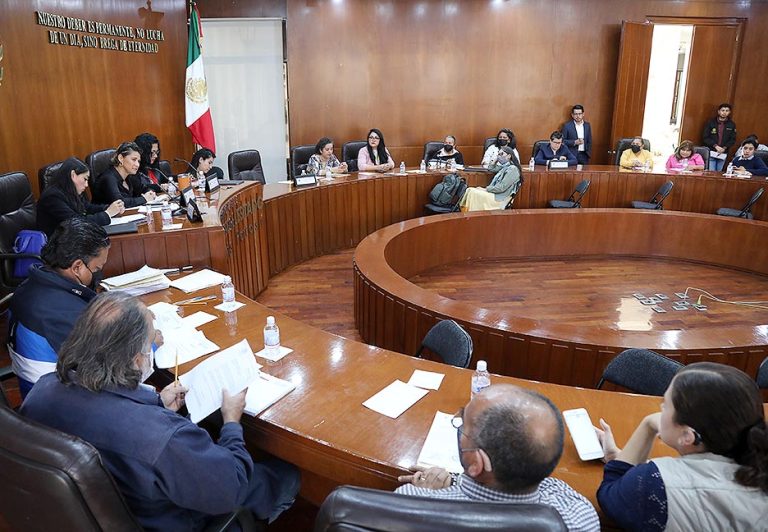 LA COMISIÓN DE DERECHOS HUMANOS CON APOYO DE LOS COLECTIVOS DE PERSONAS CON DISCAPACIDAD BUSCA ESTABLECER LOS MECANISMOS PARA REALIZAR LAS CONSULTAS PÚBLICAS