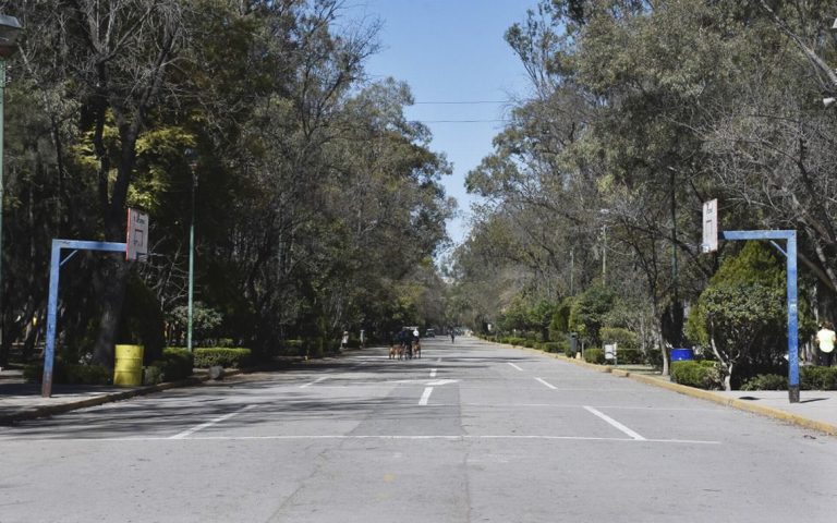 Ante los fuertes vientos, Gobierno de la Capital cierra el parque de morales