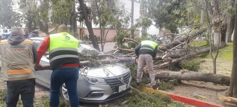 PROTECCIÓN CIVIL DEL ESTADO ATIENDE REPORTES POR FUERTES VIENTOS EN SLP
