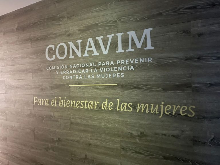 CEEAV E IMES EJERCERÁN PRESUPUESTO FEDERAL DE LA CONAVIM: SGG