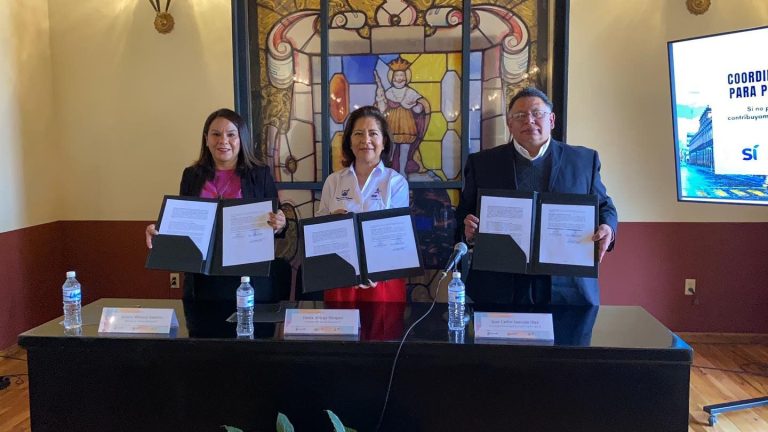 DIF Municipal fortalece su compromiso de insertar a personas con discapacidad en el campo laboral