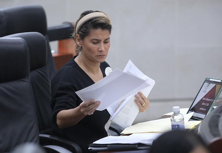 SE PLANTEA REFORMAR LA LEY DE LA COMISIÓN DE DERECHOS HUMANOS, EN RELACIÓN A LA INTEGRACIÓN DEL CONSEJO DE DICHO ÓRGANO.
