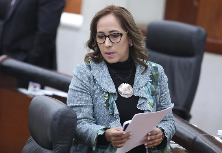 URGE UN PLAN DE DESARROLLO METROPOLITANO PARA GARANTIZAR UN ORDEN AL DESARROLLO Y CRECIMIENTO URBANO: DIP. LILIANA GUADALUPE FLORES ALMAZÁN