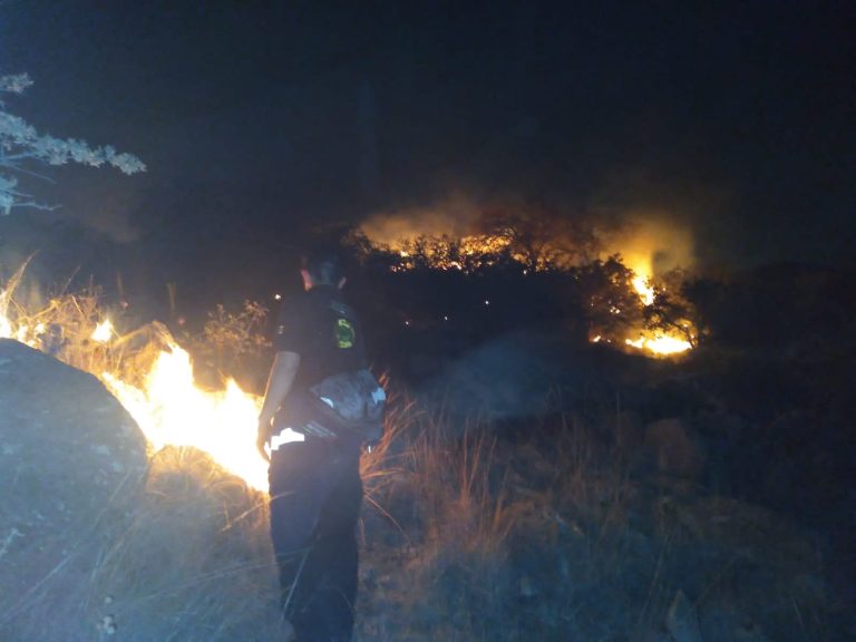 INCENDIOS FORESTALES FUERON PROVOCADOS: PROTECCIÓN CIVIL