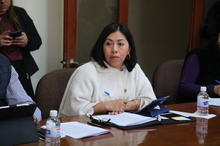 DIP. BERNARDA REYES HERNÁNDEZ, IMPULSA UNA INICIATIVA PARA REFORMAR LA LEY DE FOMENTO ARTESANAL DEL ESTADO