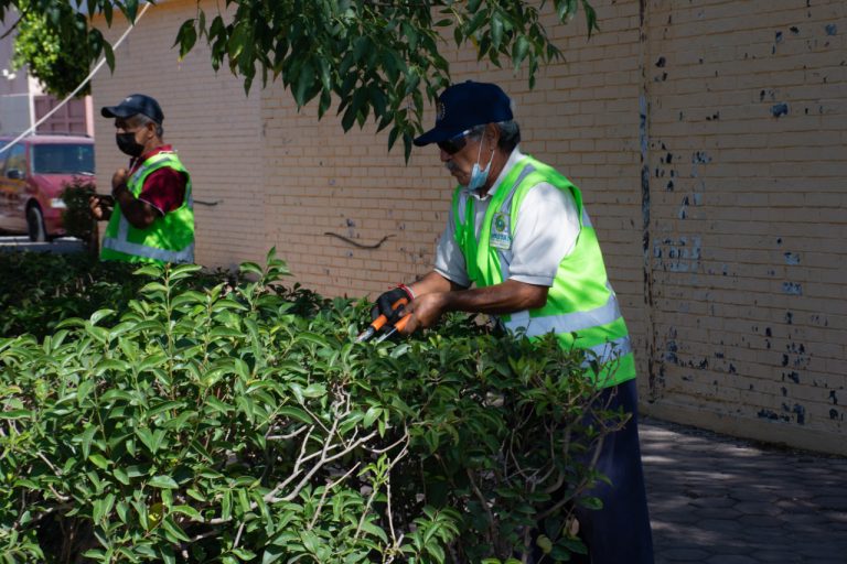 SERVICIOS MUNICIPALES DA CONTINUIDAD A LAS LABORES PARA EMBELLECER LOS ESPACIOS PÚBLICOS DEL MUNICIPIO