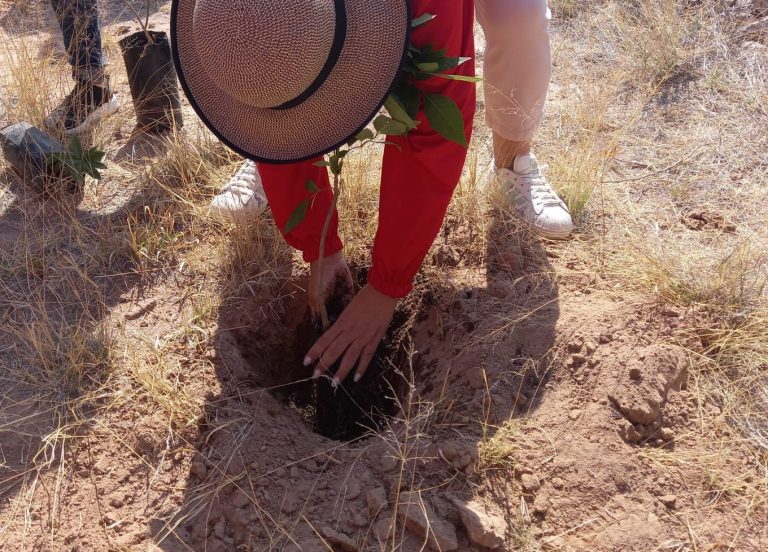 Las y los bebés también serán parte de la reforestación en San Luis Capital