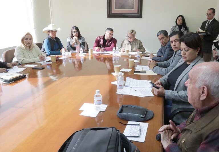 COMISIÓN DE SALUD ACUERDA VISITAR INSTALACIONES DE LA CRUZ ROJA Y BUSCAR MECANISMOS DE APOYO FINANCIERO PARA CONTINUAR LA LABOR DE ASISTENCIA SOCIAL: DIP. FRINNÉ AZUARA YARZÁBAL