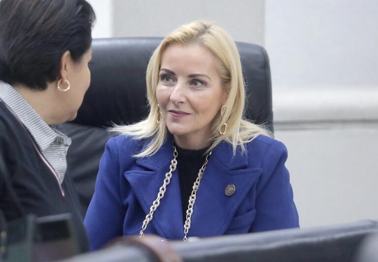 LOS GOBIERNOS MUNICIPALES Y ESTATAL DEBEN APORTARLE EN INVERTIR EN LA PROMOCIÓN DEL TURISMO EN LA ENTIDAD