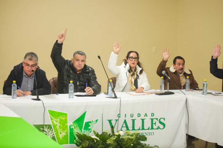APRUEBAN PLAN MUNICIPAL DE DESARROLLO 2024-2027 EN SESIÓN EXTRAORDINARIA DE CABILDO
