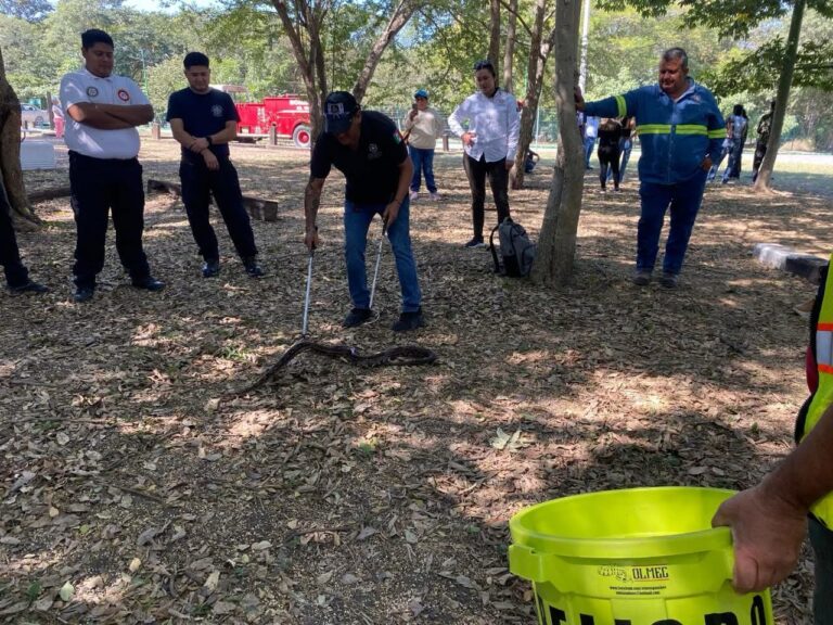 CURSO DE MANEJO Y CONTENCIÓN DE SERPIENTES REUNIÓ A 85 PARTICIPANTES EN CIUDAD VALLES