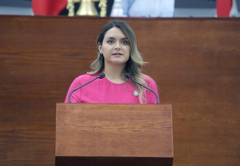 SE BUSCA EXHORTAR A LOS 59 AYUNTAMIENTOS A LA APLICACIÓN DE INSPECCIONES PERMANENTES EN BARES Y CENTROS NOCTURNOS PARA GARANTIZAR SEGURIDAD