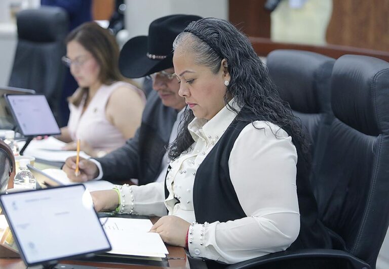 DIPUTADA GABRIELA GUADALUPE MARTÍNEZ VÁZQUEZ, IMPULSA PUNTO DE ACUERDO PARA ESTABLECER ACCIONES PREVENTIVAS ANTE LA CERCANÍA DE LA TEMPORADA DE LLUVIAS Y CICLONES