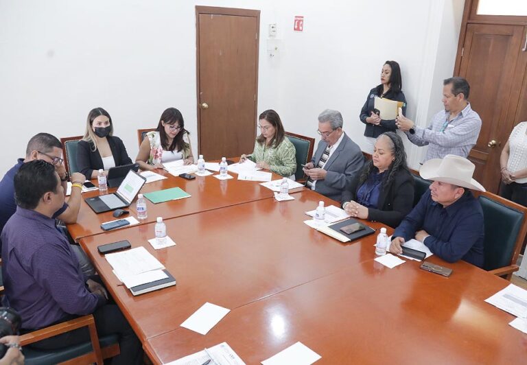 EN REUNIÓN DE LA COMISIÓN DE HACIENDA DEL ESTADO SE CONOCIERON DETALLES DEL FUNCIONAMIENTO DEL BUZÓN FISCAL ESTATAL